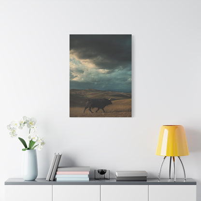 Storm Valley Black Bull Wall Art & Canvas Print