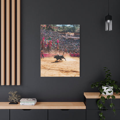 Latin American Bull Festival Arena Wall Art & Canvas Print