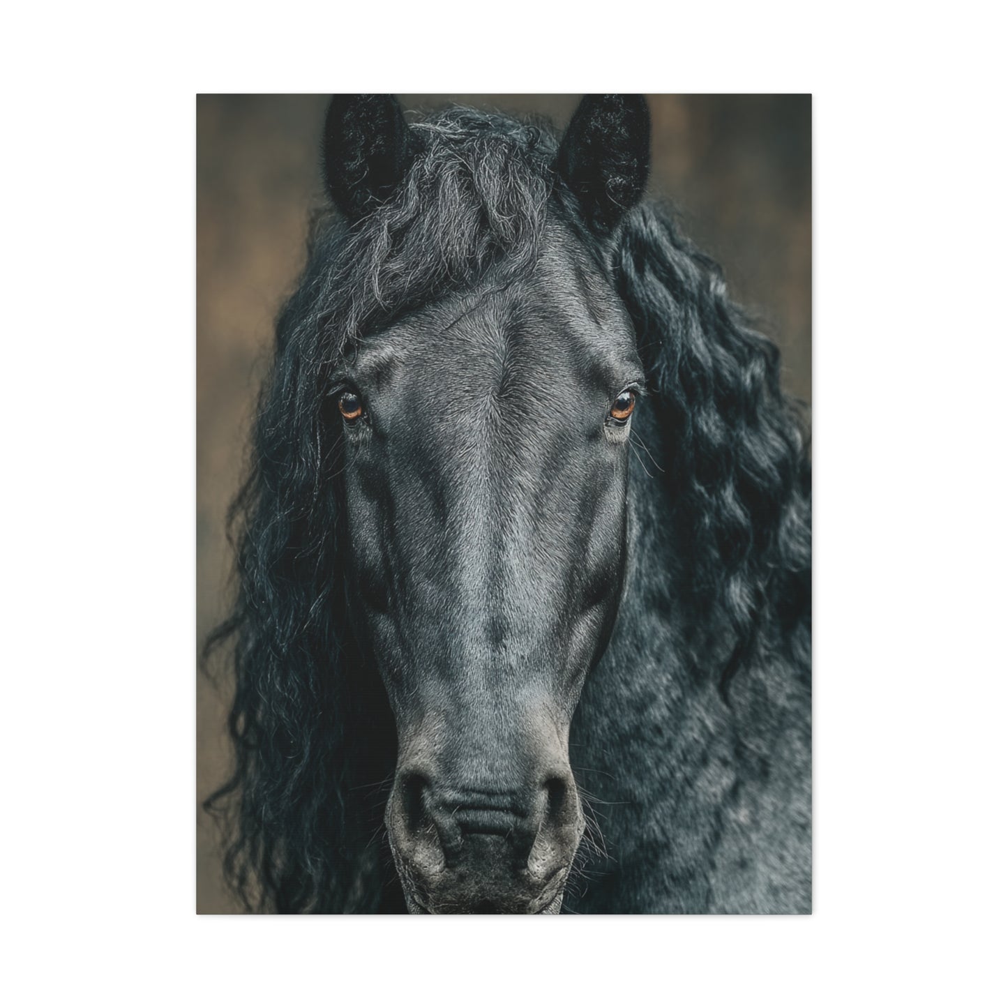 Black Horse Frontal Portrait Wall Art & Canvas Print