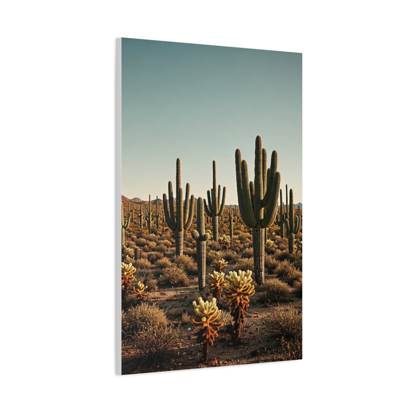 Saguaro Valley Desert Landscape Wall Art & Canvas Prints