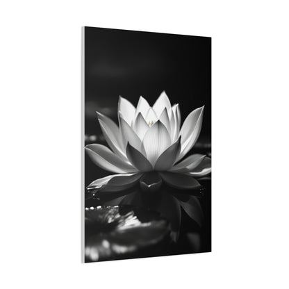 Serene Lotus Reflection Wall Art & Canvas Prints