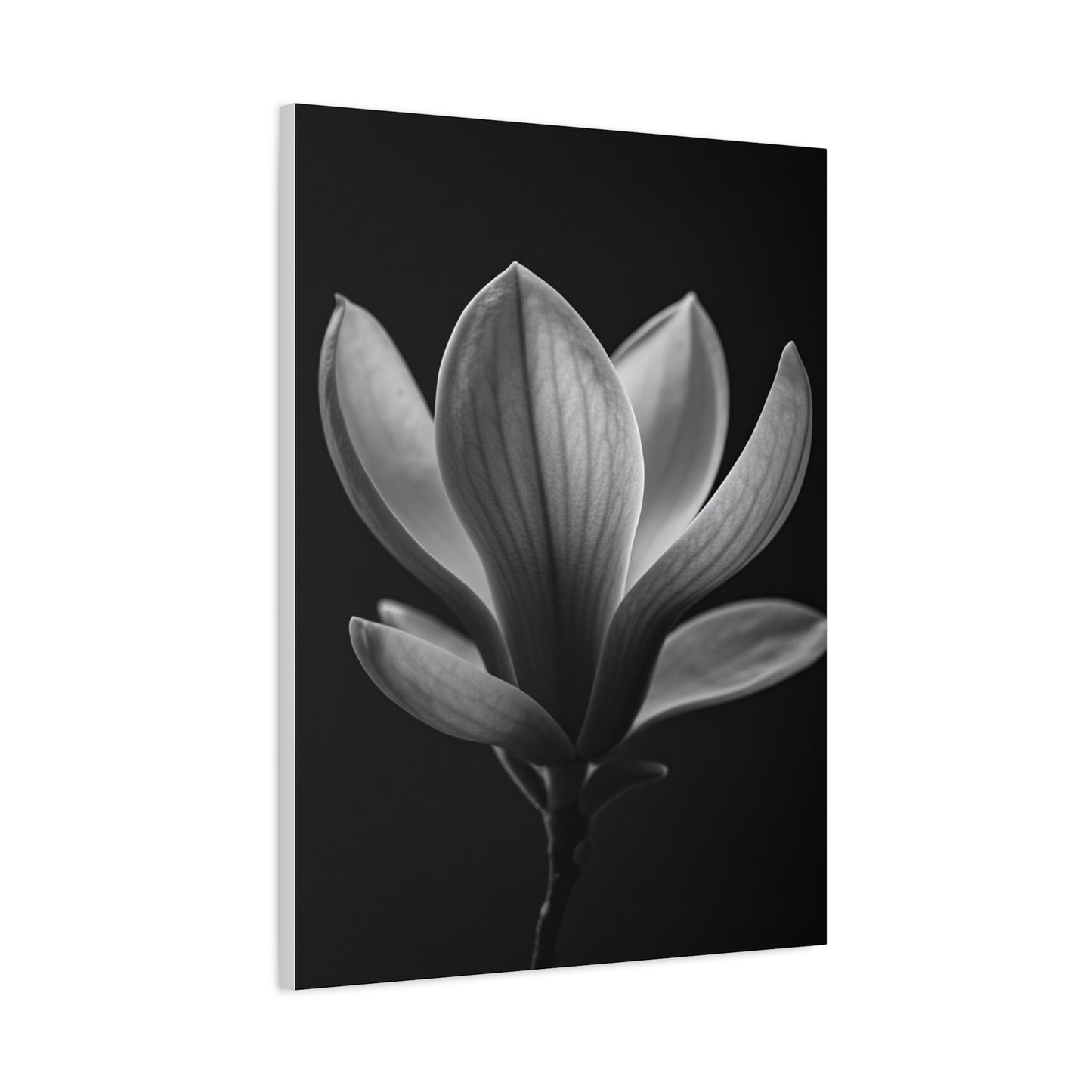 Magnolia Blossom Serenity Monochrome Wall Art & Canvas Prints
