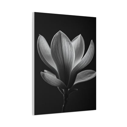 Magnolia Blossom Serenity Monochrome Wall Art & Canvas Prints