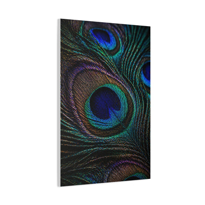 Macro Iridescent Peacock Feather Wall Art & Canvas Print