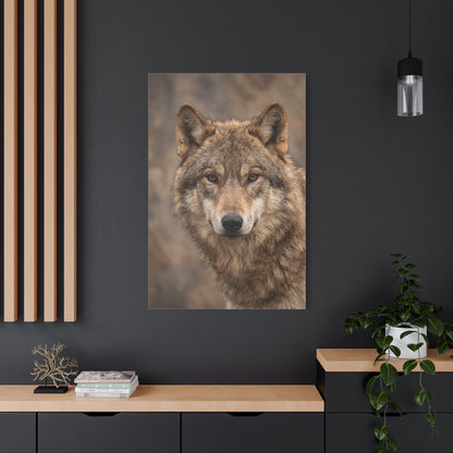 Natural Gray Wolf Close Portrait Wall Art & Canvas Print