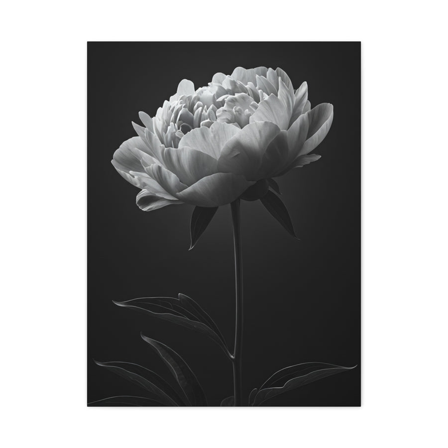 Peony Elegance in Monochrome Wall Art & Canvas Prints