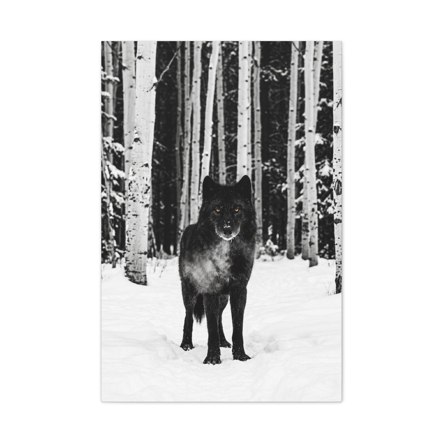 Snow Forest Black Wolf Minimal Scene Wall Art & Canvas Print
