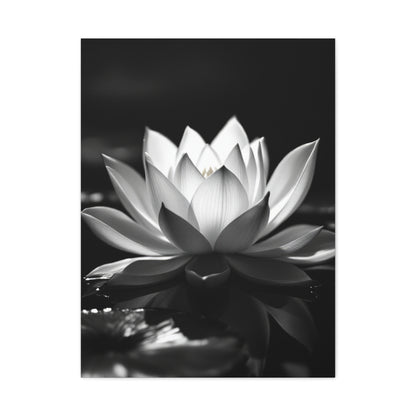Serene Lotus Reflection Wall Art & Canvas Prints