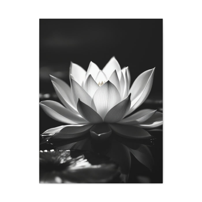 Serene Lotus Reflection Wall Art & Canvas Prints