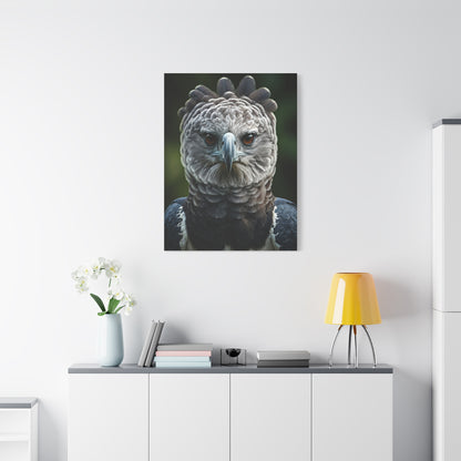Regal Harpy Eagle Portrait Wall Art & Canvas Prints