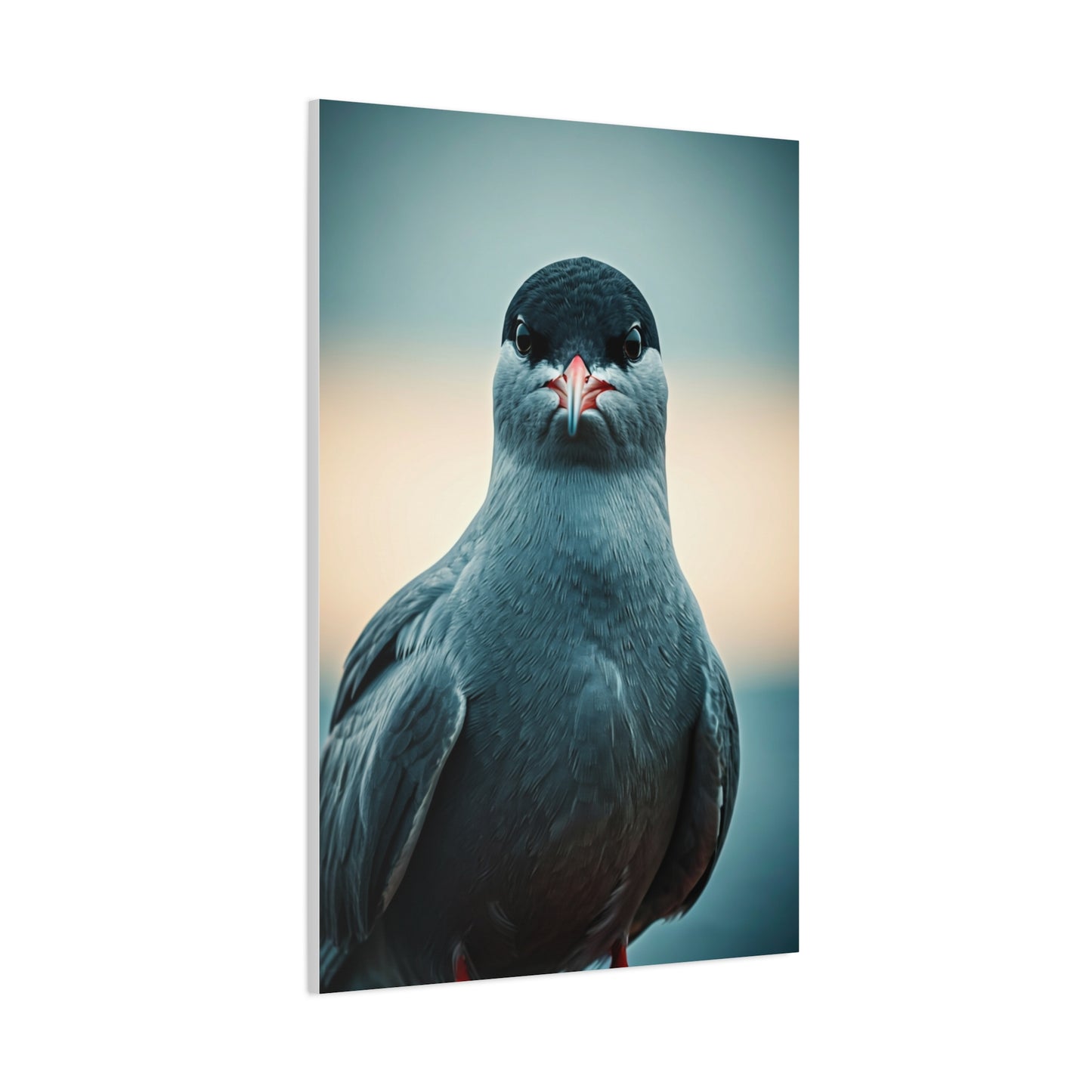 Arctic Tern Portrait Wall Art & Canvas Prints