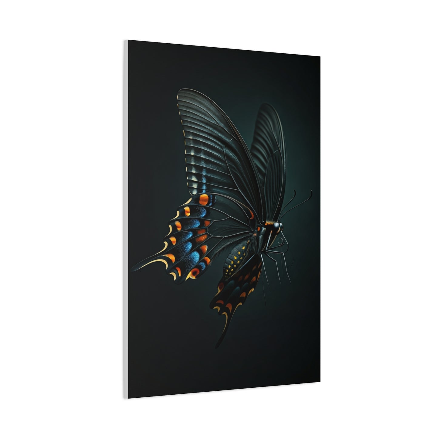 Dark Swallowtail Butterfly in Flight Wall Art & Canvas Prints