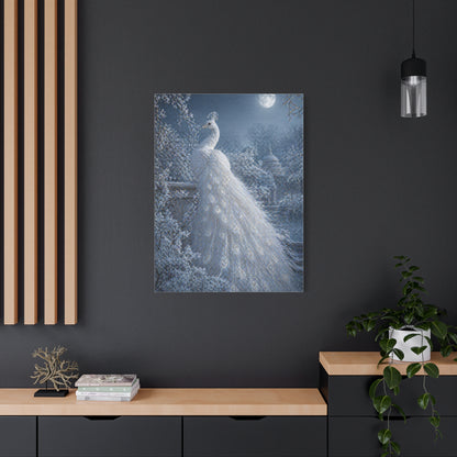 Snowy Moonlit White Peacock Wall Art & Canvas Print
