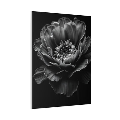 Layered Peony in Soft Shadow Wall Art & Canvas Prints