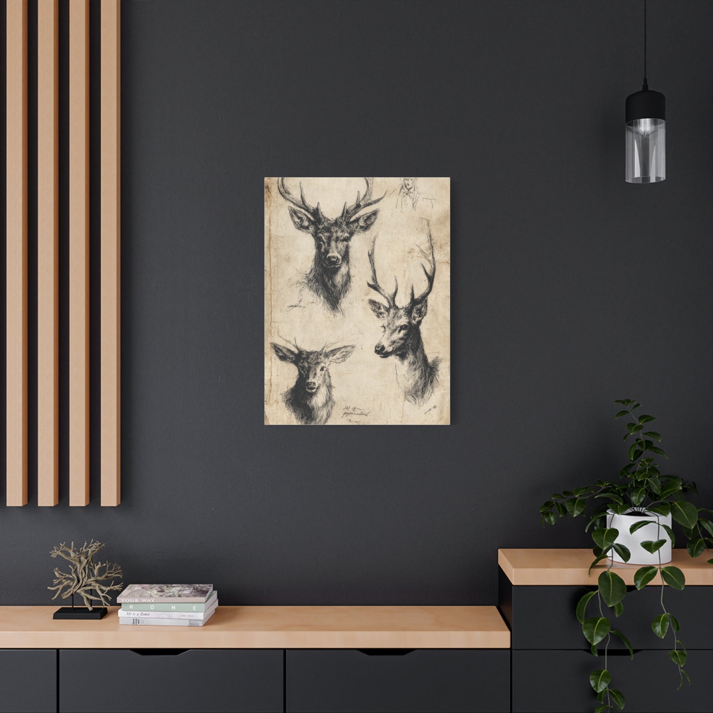 Vintage Natural History Deer Study Wall Art & Canvas Print