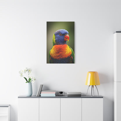 Vibrant Rainbow Lorikeet Wall Art & Canvas Prints