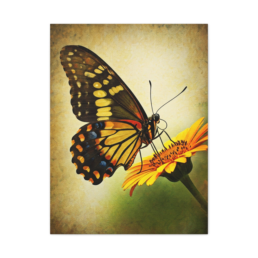 Golden Meadow Butterfly on Flower Wall Art & Canvas Prints