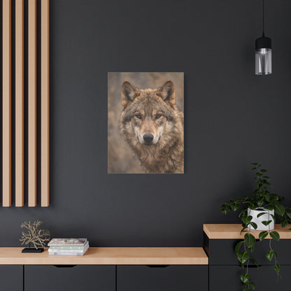 Natural Gray Wolf Close Portrait Wall Art & Canvas Print