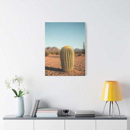 Barrel Cactus Desert Minimalism Wall Art & Canvas Prints