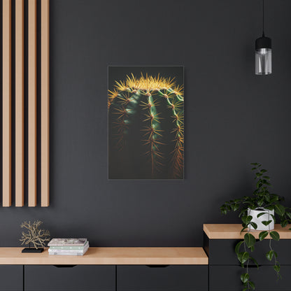 Golden Spine Macro Cactus Wall Art & Canvas Prints
