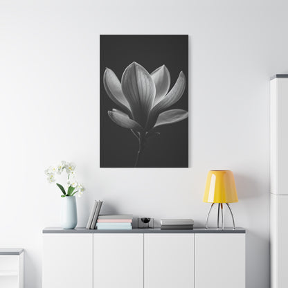 Magnolia Blossom Serenity Monochrome Wall Art & Canvas Prints