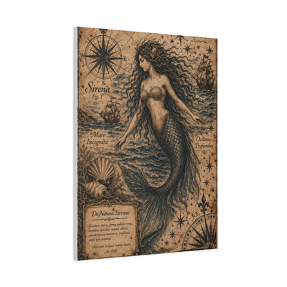 Antique Nautical Sirena Illustration Wall Art & Canvas Print