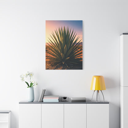 Desert Agave Sunburst Wall Art & Canvas Prints