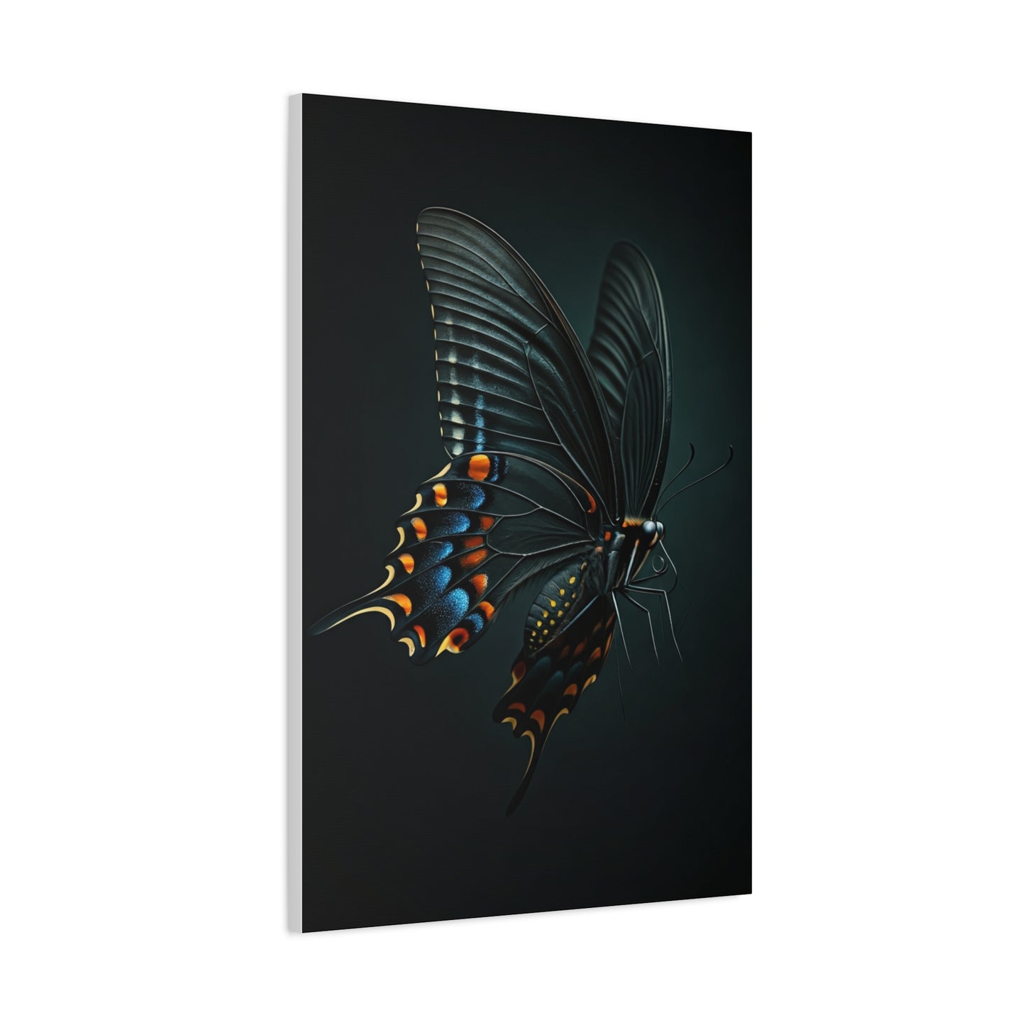 Dark Swallowtail Butterfly in Flight Wall Art & Canvas Prints