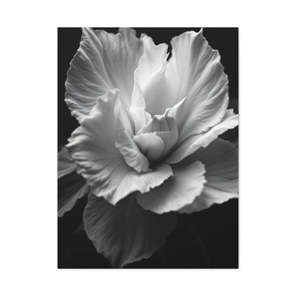 Sculpted Petal Elegance Close-Up Wall Art & Canvas Prints