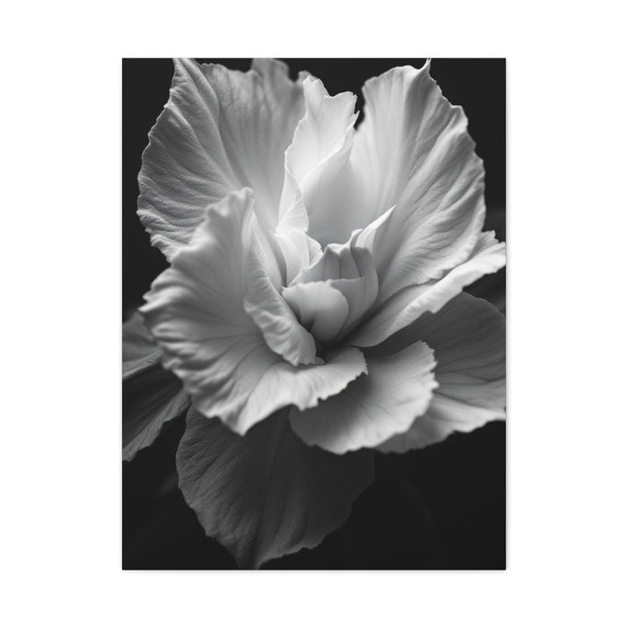 Sculpted Petal Elegance Close-Up Wall Art & Canvas Prints
