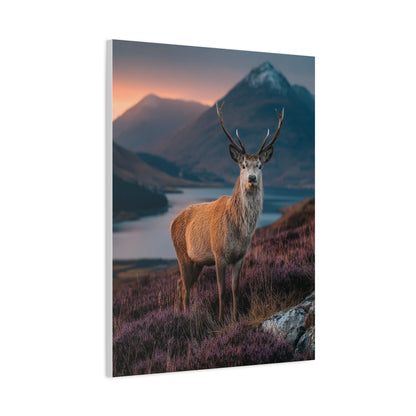 Scottish Highland Sunrise Stag Wall Art & Canvas Print