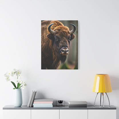 Wood Bison Close-Up with Soft Forest Backdrop Wall Art & Canvas Print