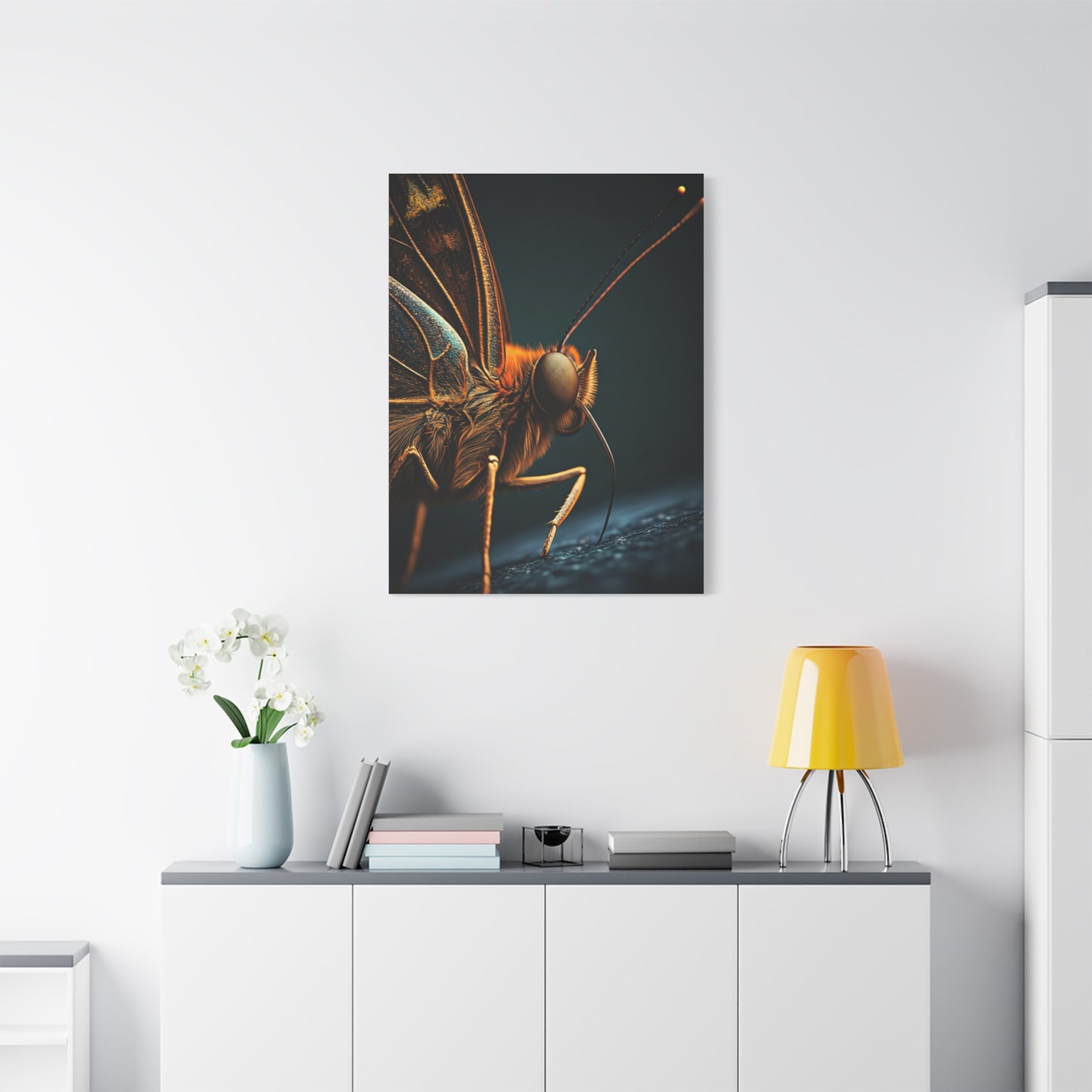 Butterfly Macro Anatomy Close-Up Wall Art & Canvas Prints