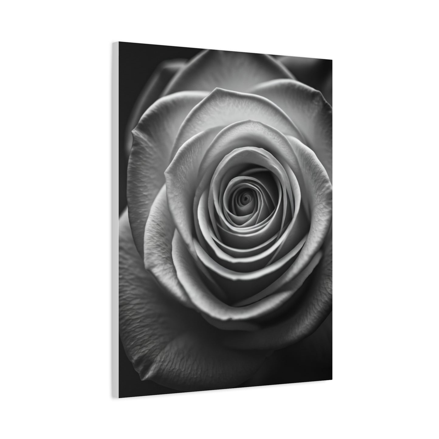 Monochrome Daisy Center Detail Wall Art & Canvas Prints
