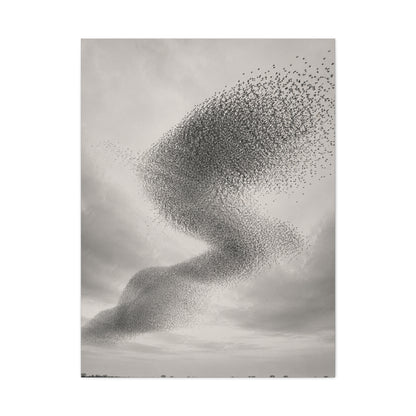 Murmuration Love Formation Monochrome Wall Art & Canvas Print