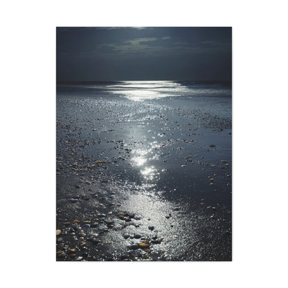Moonlit Beach Reflections with Scattered Seashells Wall Art & Canvas Print