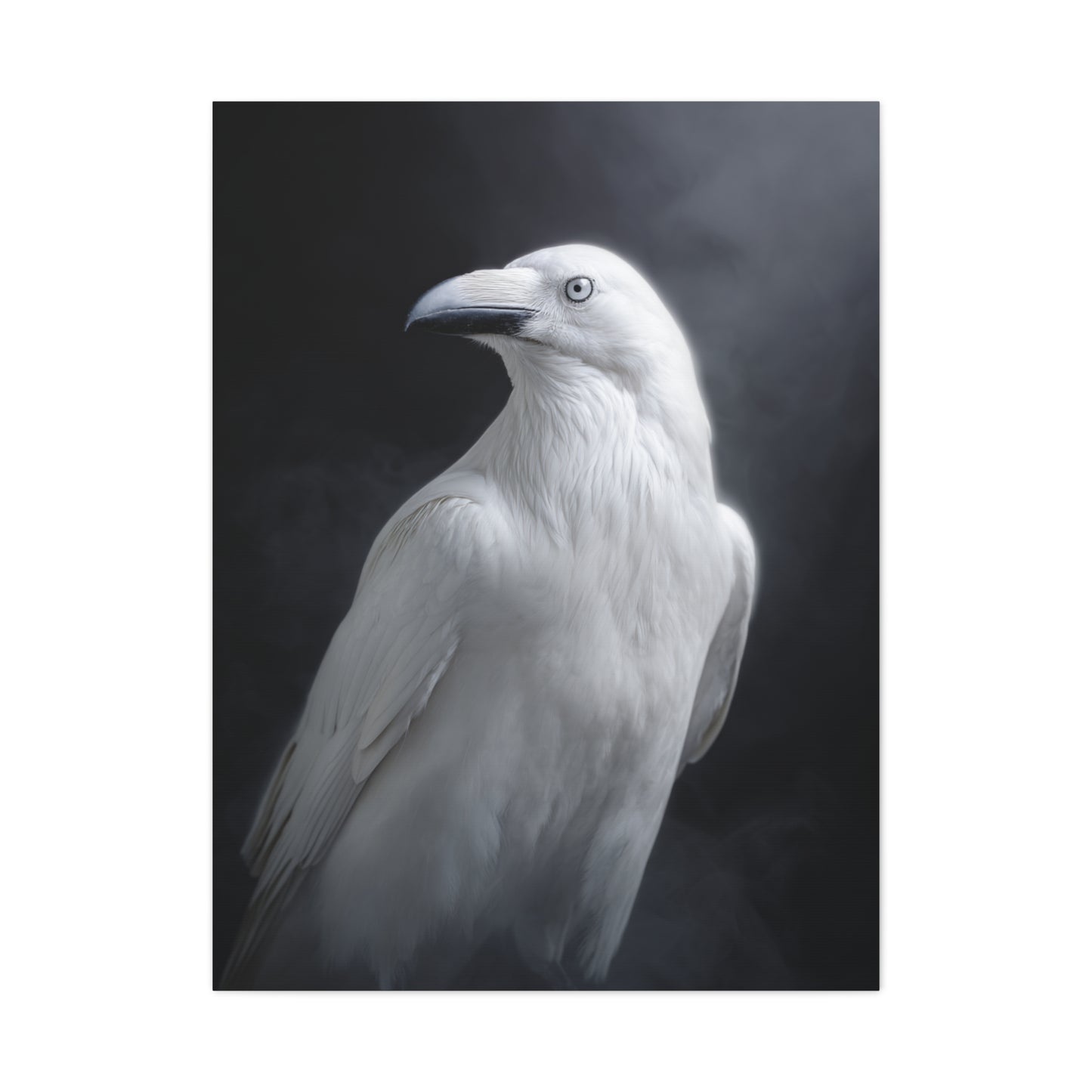 Elegant White Raven Portrait Wall Art & Canvas Print