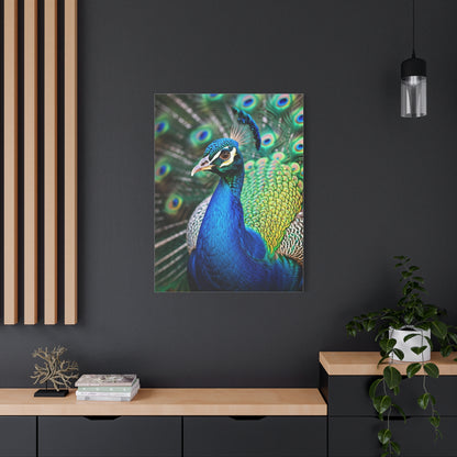 Vibrant Peacock Portrait Wall Art & Canvas Prints