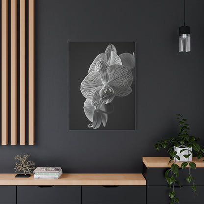 Elegant Orchid Portrait Monochrome Wall Art & Canvas Prints