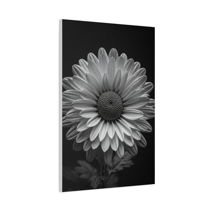 Monochrome Daisy Bloom Portrait Wall Art & Canvas Prints