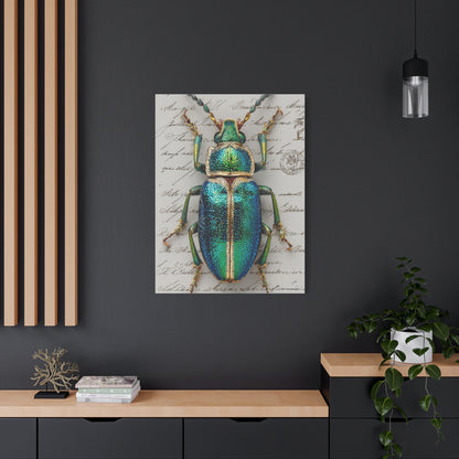 Emerald Beetle Natural History Wall Art & Canvas Print