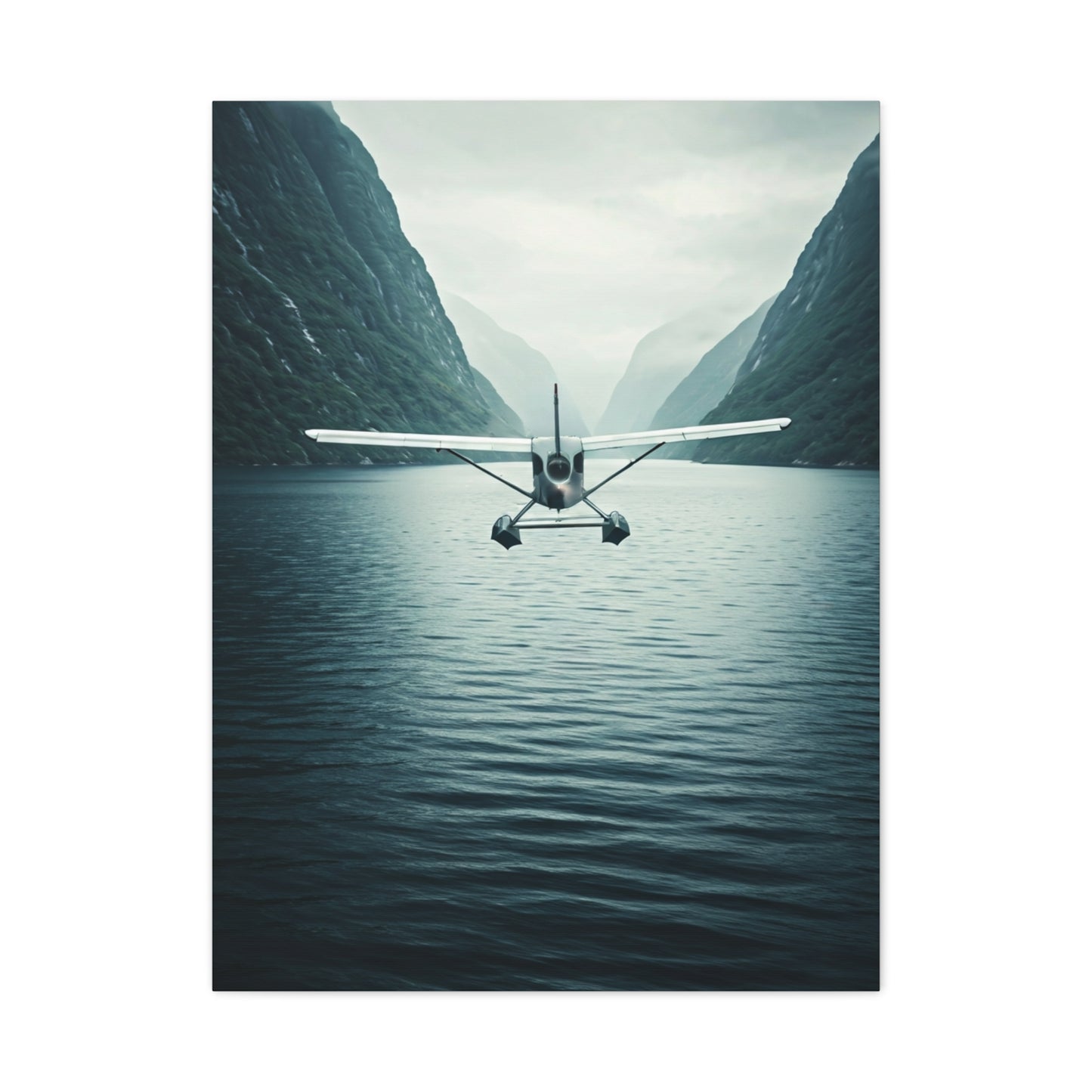 Seaplane Fjord Landing Wall Art & Canvas Prints