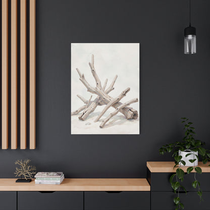 Weathered Driftwood Sculpture Wall Art & Canvas Prints