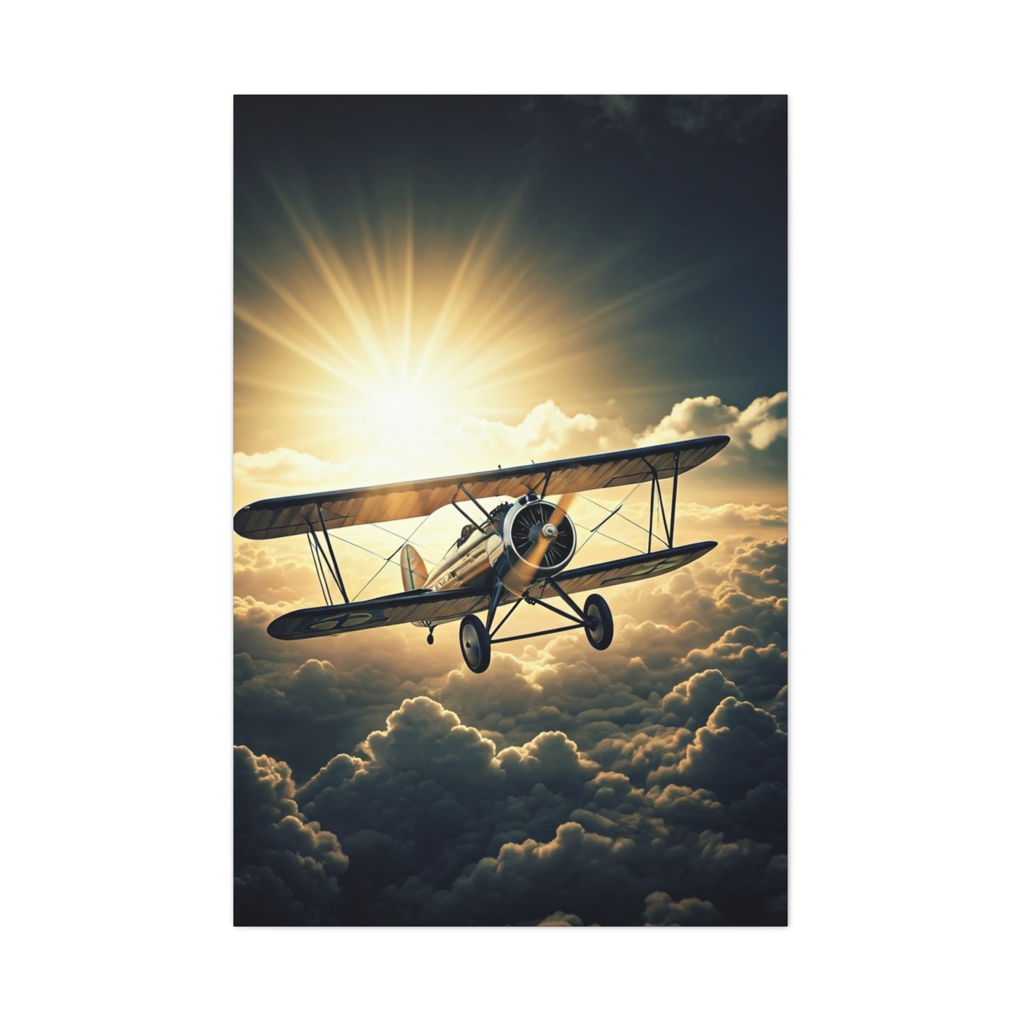 Sunlit Biplane Above the Clouds Wall Art & Canvas Prints