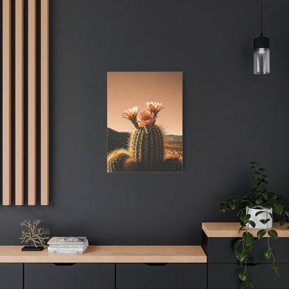 Desert Barrel Cactus Bloom at Sunset Wall Art & Canvas Prints