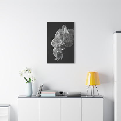 Elegant Orchid Portrait Monochrome Wall Art & Canvas Prints