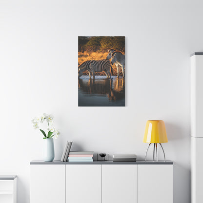Zebra Pair at the Water’s Edge Wall Art & Canvas Prints