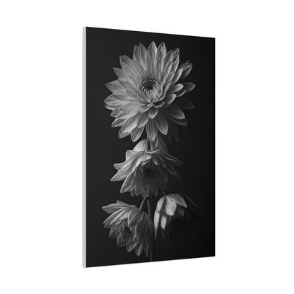 Vertical Dahlia Stem Composition Wall Art & Canvas Prints