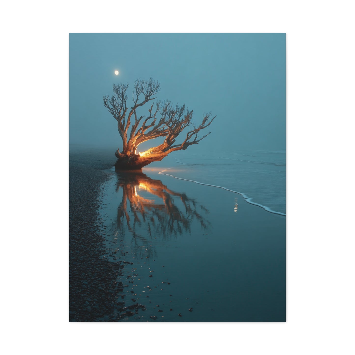 Moonlit Driftwood Shore Wall Art & Canvas Print