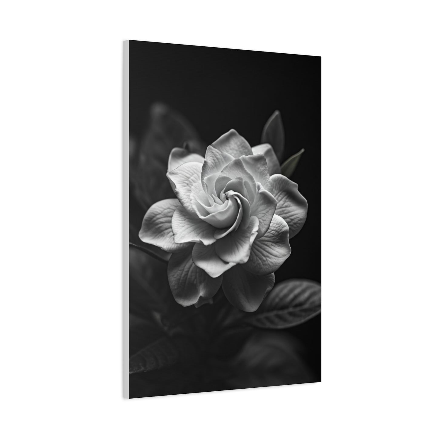 Timeless Garden Rose Portrait Wall Art & Canvas Prints